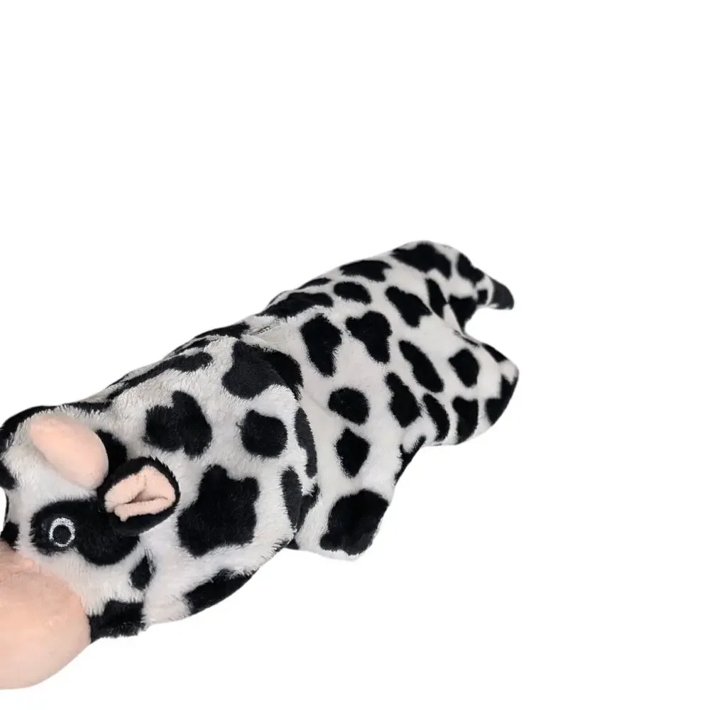 Party Dog get ready